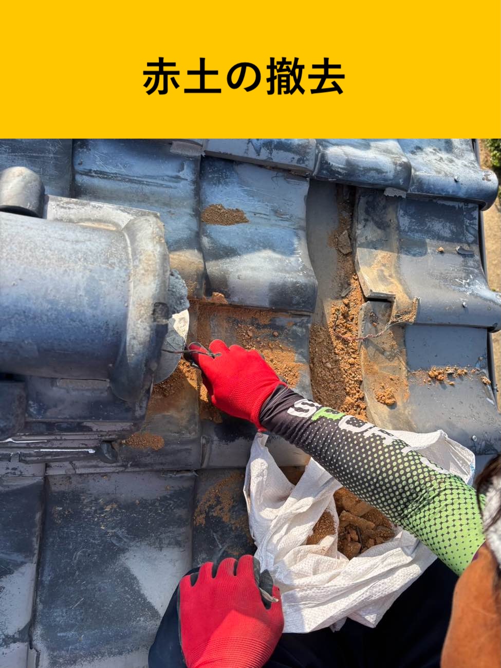 赤土の撤去と清掃で下地を整える