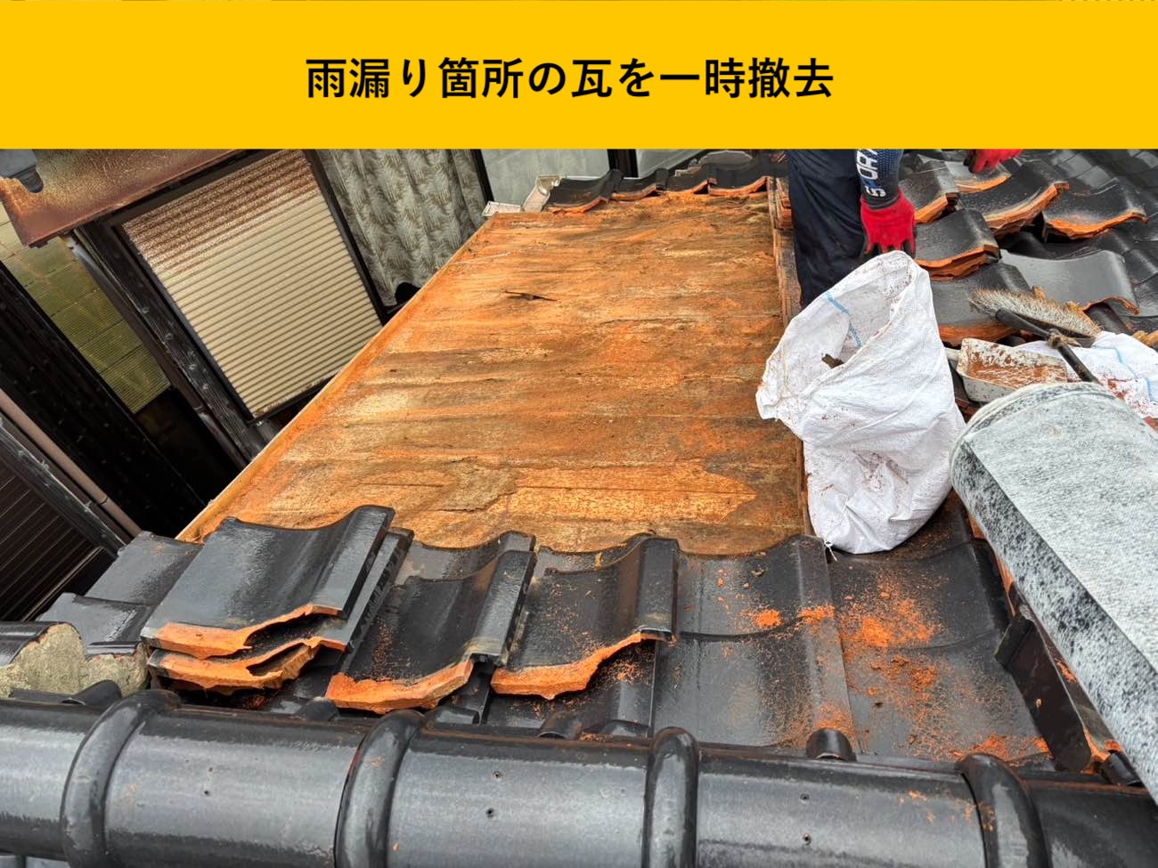 雨漏り箇所の瓦を一時撤去して下地を露出