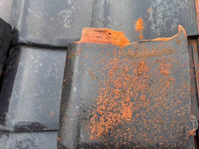 福岡市西区の一時撤去した瓦