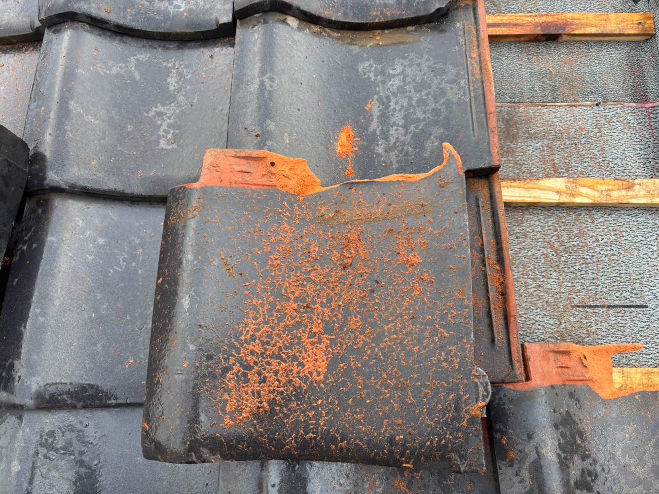 福岡市中央区の雨漏り工事、ふき直し工事