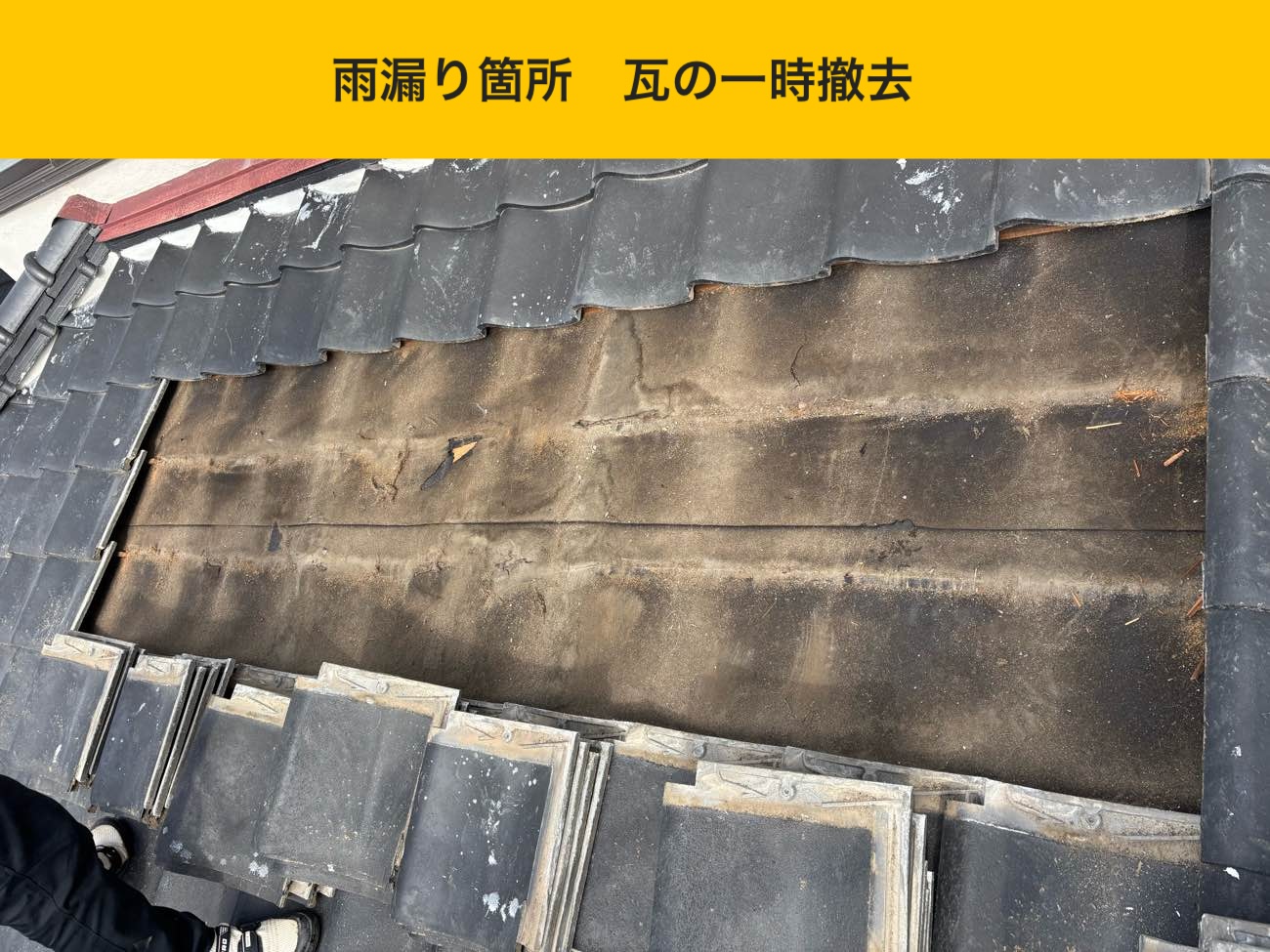 雨漏り箇所の瓦を一時撤去し、下地へアクセス