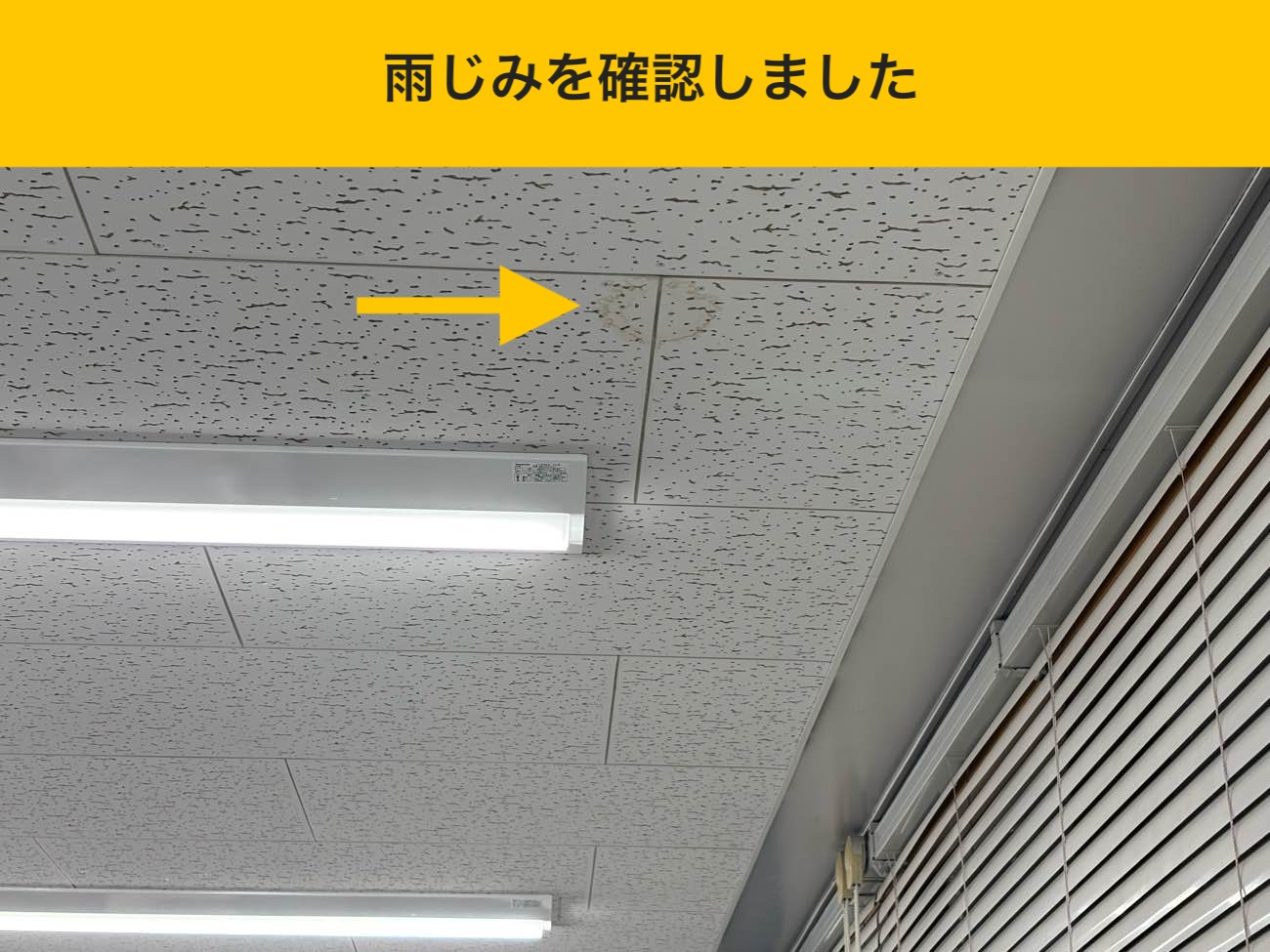 福岡市の工場オーナー様へ｜「最小限のコスト」で雨漏りを止める屋根改修のすすめ