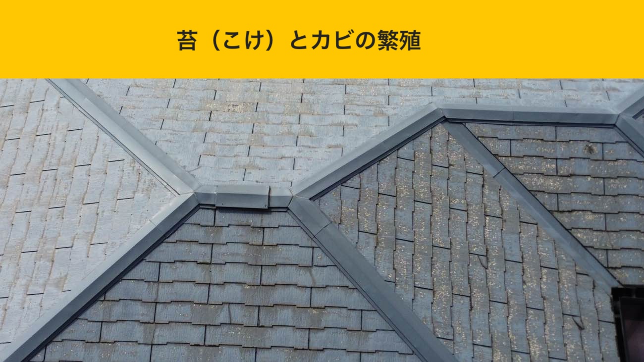 福岡市博多区｜屋根リフォームで新築の輝き！オークリッジスーパーで屋根カバー工法「屋根リフォーム」
