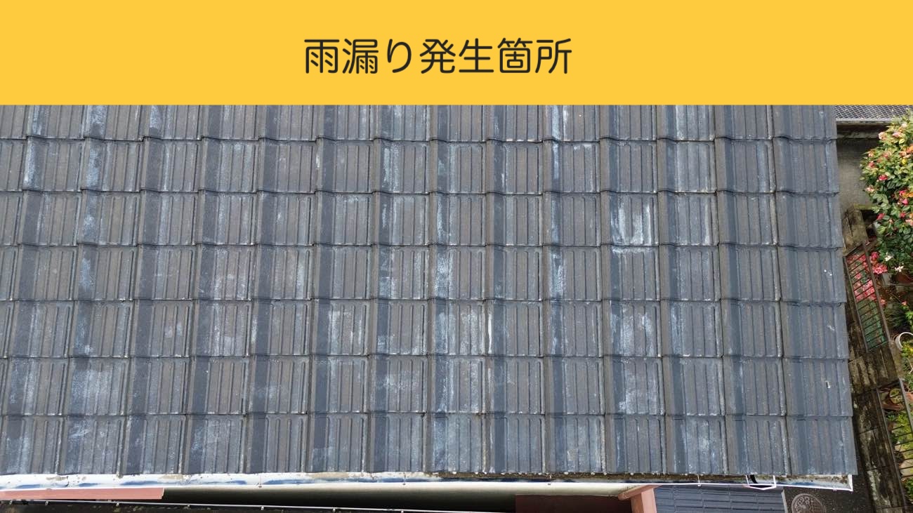 雨漏り発生箇所（屋根面）の確認
