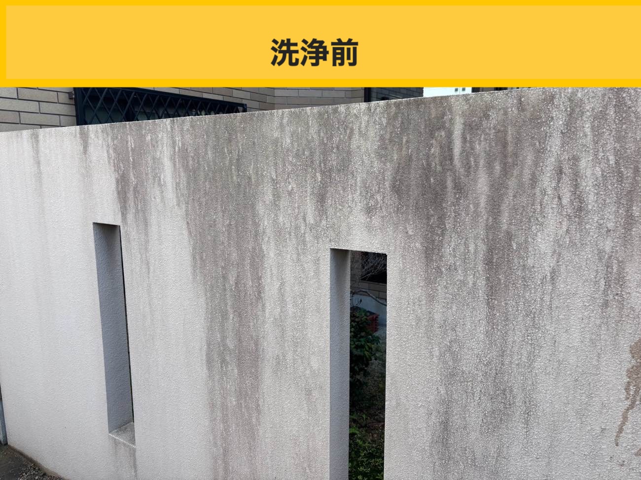福岡市の屋根、鳥被害、太陽光パネル