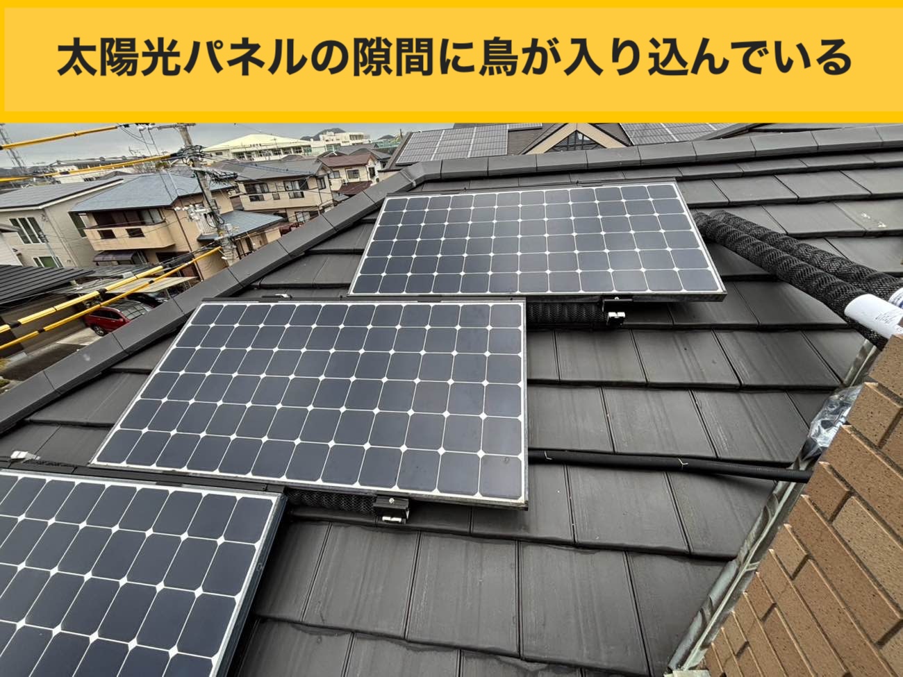 福岡市の屋根工事「鳥被害にお困りの方へ」鳥害対策！太陽光パネルの隙間に潜む「鳩の巣作り」の恐怖と現地調査