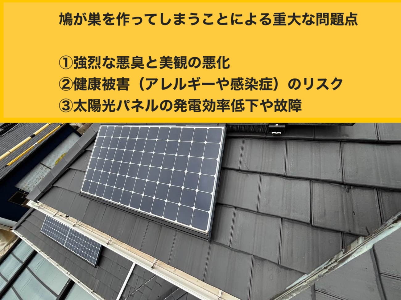 福岡市の鳥被害でお困りの方へ｜我が家を守る！鳩よけネットの重要性とパネル洗浄のメリット