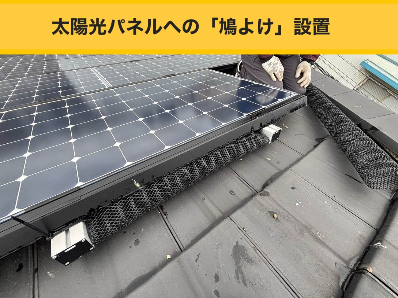 福岡市の屋根メンテナンス｜鳥害対策と外装洗浄のビフォーアフター