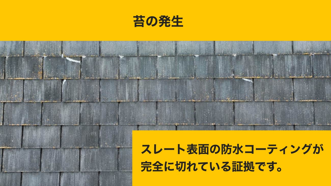 【福岡市南区】スレートのずれと苔だらけの屋根を救う！太陽光パネル対応の「カバー工法」と失敗しない屋根材選び