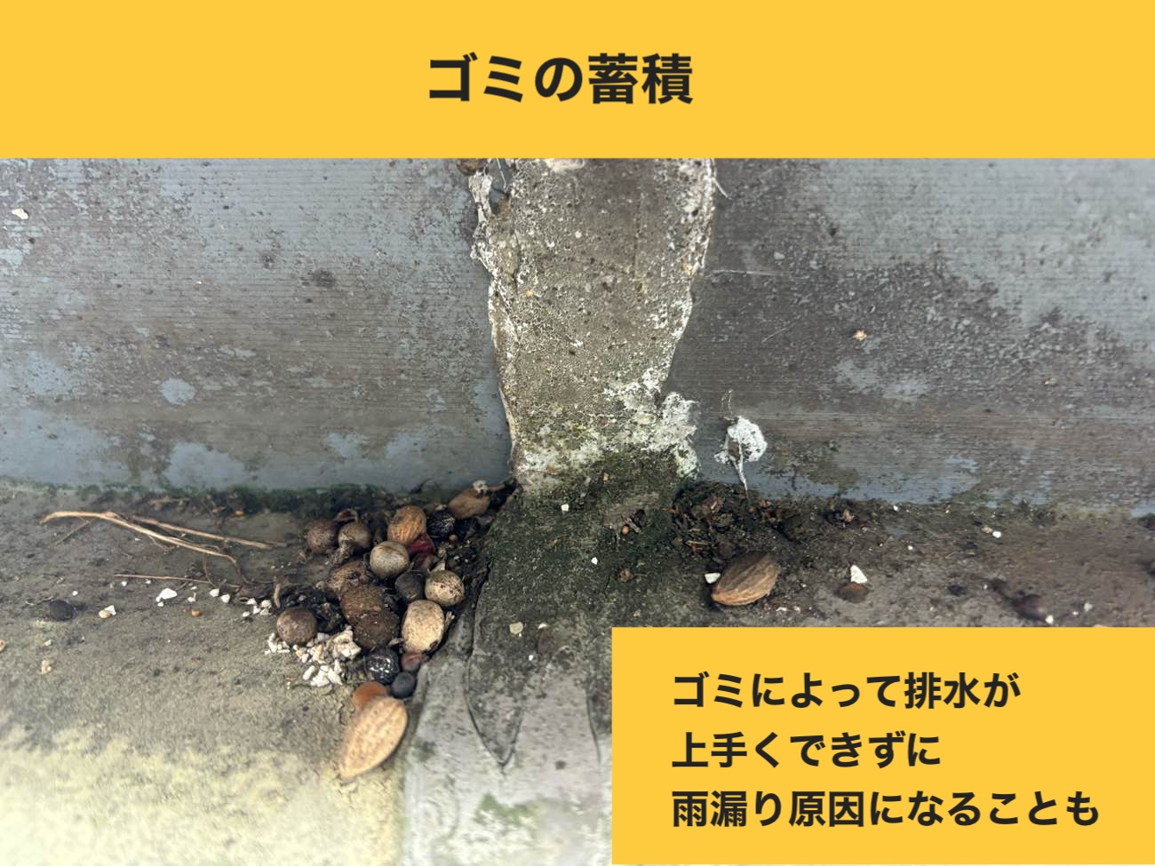 福岡県、工場で発生した雨漏り工事