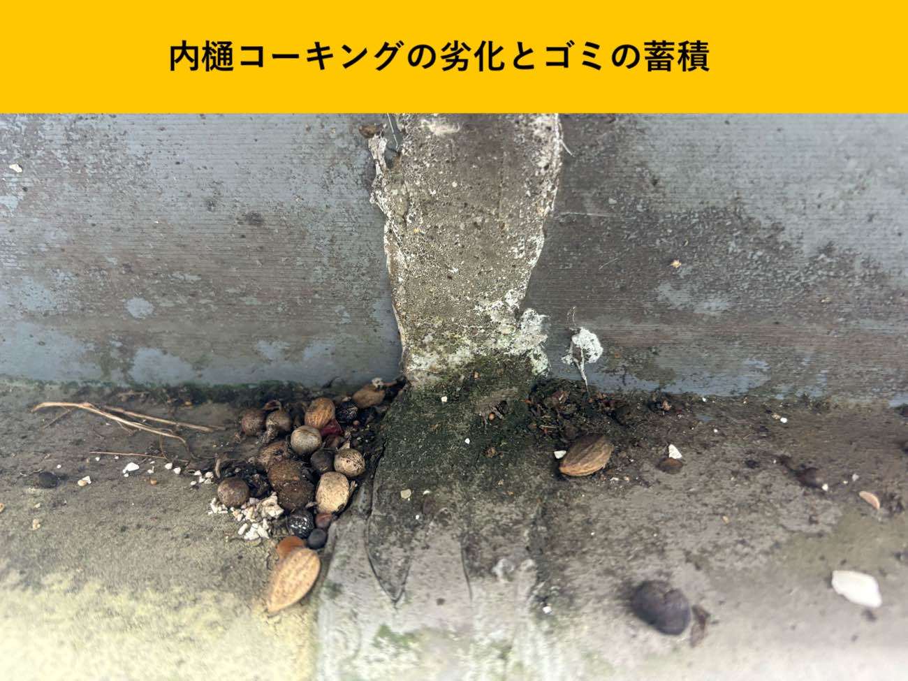 福岡市南区の雨漏り工事、街の屋根やさん