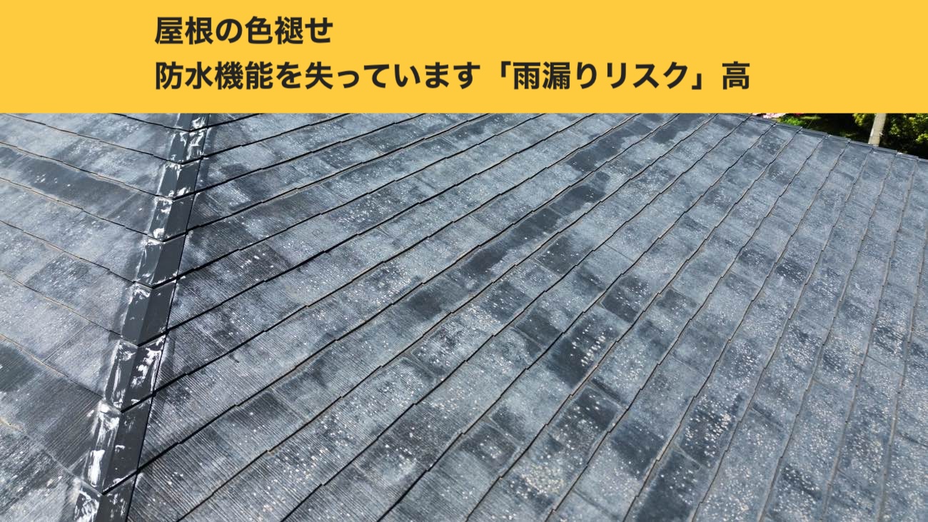 【福岡市早良区】トップライトの雨漏りを「部分工事」で賢く低価格に解決する提案