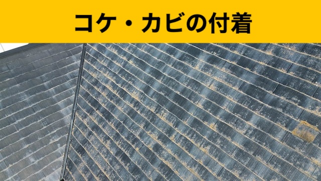 【福岡市西区の屋根工事】複数の業者から見積もりを取っていて、金額や内容の違いに迷っている方