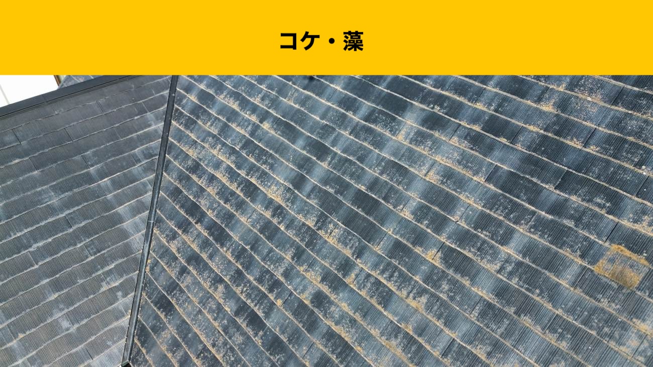 糸島市の屋根工事、屋根リフォーム、屋根の劣化、街の屋根やさん