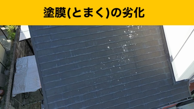 【福岡市西区】屋根や外壁の汚れ・カビが気になる方へ ~屋根調査でわかった劣化の実態