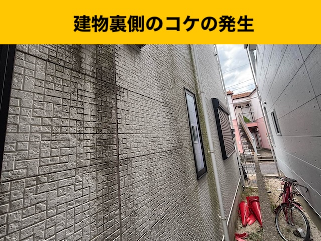 建物の苔、外壁洗浄、外壁クリーニング