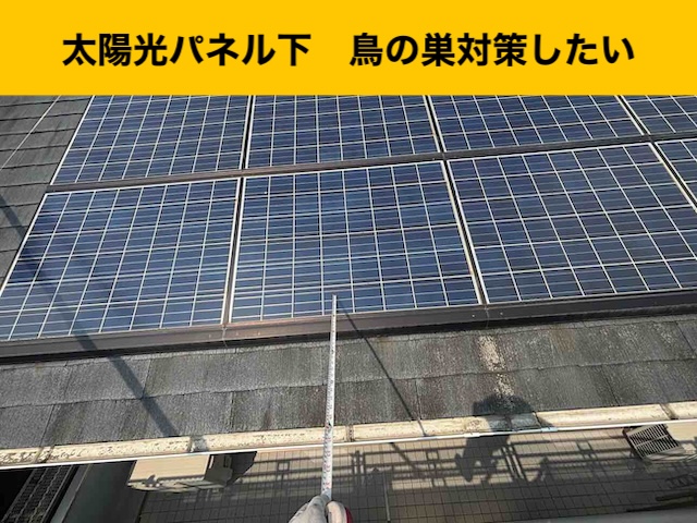 太宰府市物、屋根、鳥被害、街の屋根やさん福岡西店