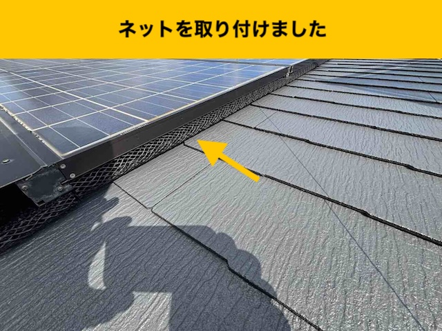 太宰府市物、屋根、鳥被害、街の屋根やさん福岡西店