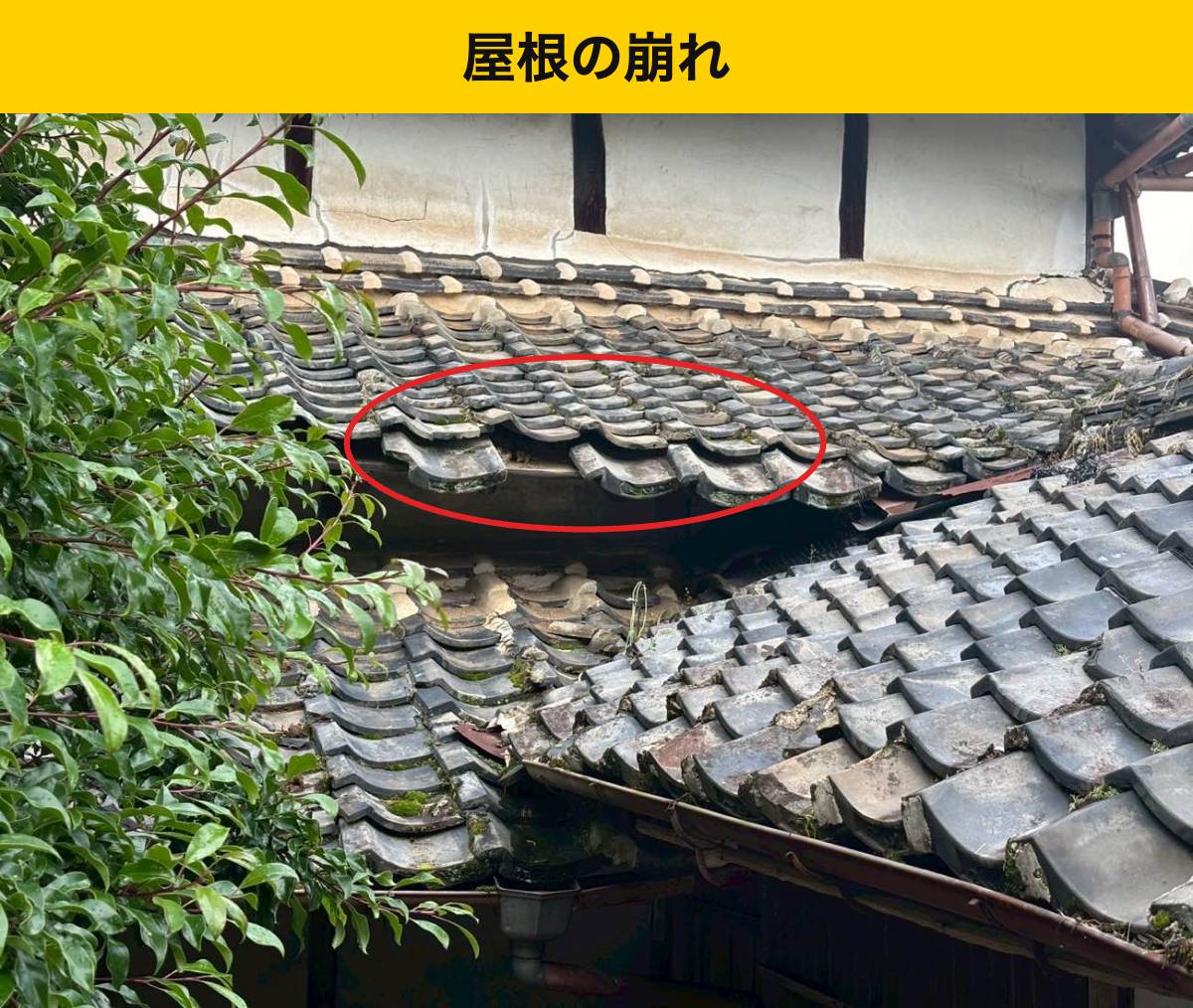 鞍手町 瓦の崩れと落下、苔の広がりを確認しました