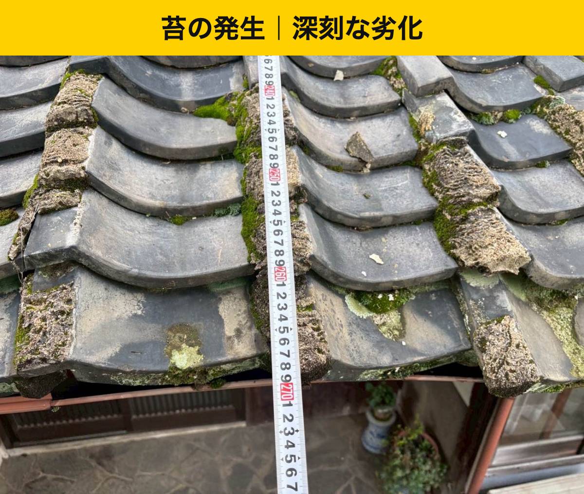 鞍手町 苔が広がり、屋根の隙間には草も生えていました