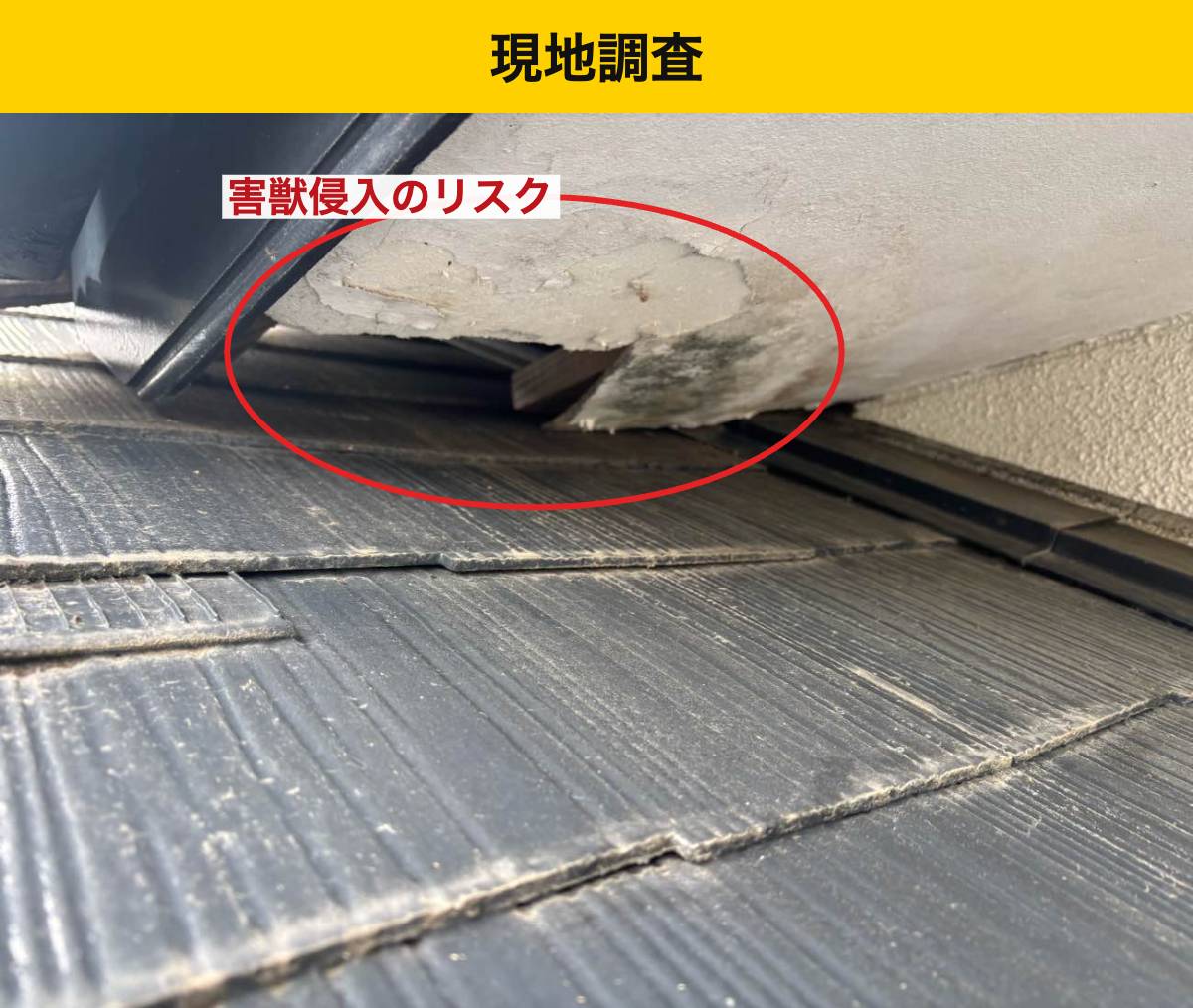 【糸島市】天窓の雨漏りは部分補修できる？工事範囲の考え方