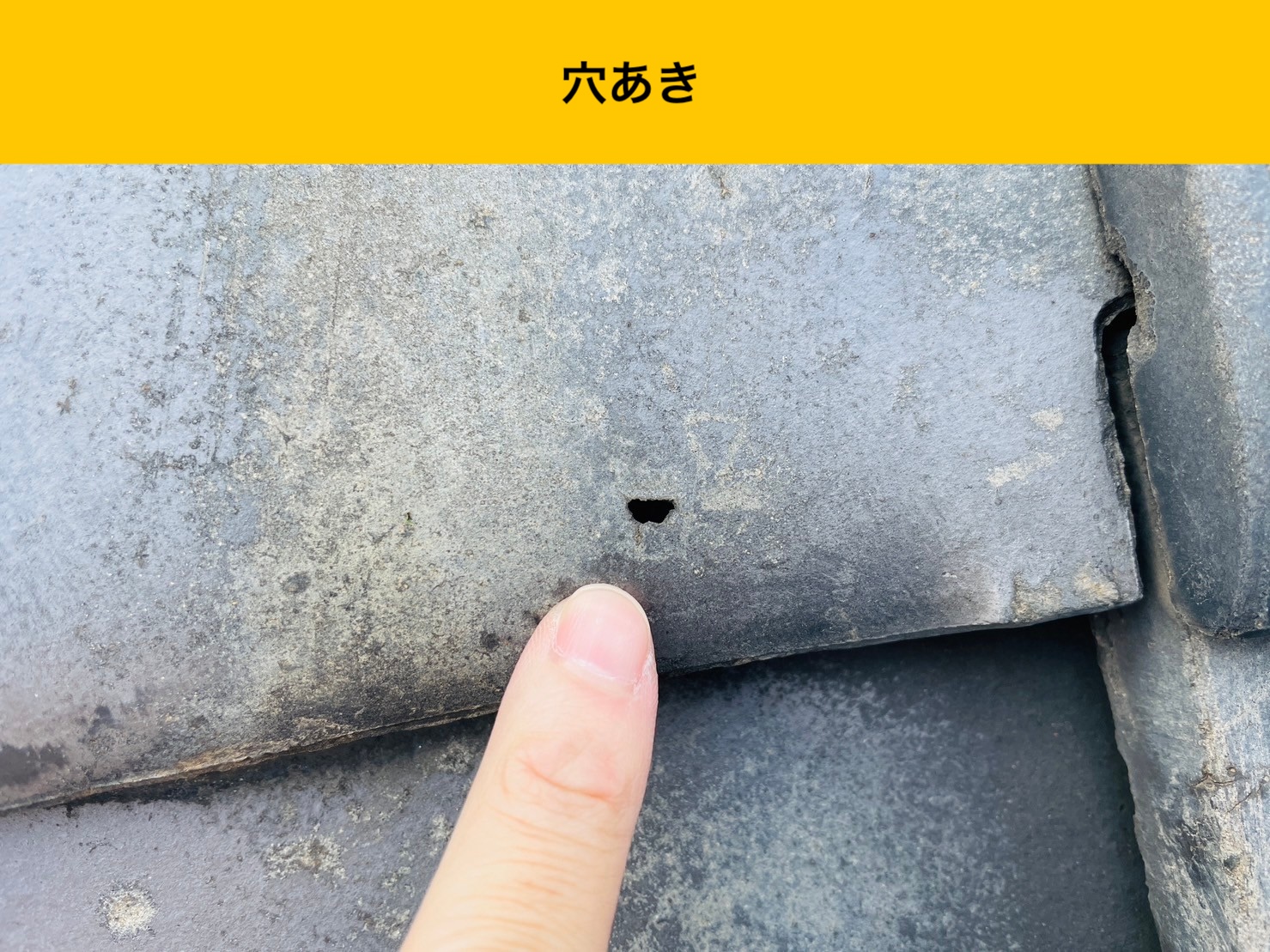 宗像市の屋根調査、穴あき