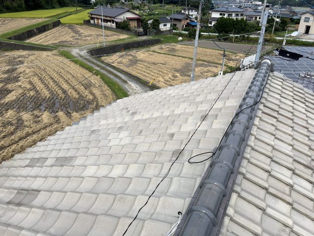 早良区で雨漏り原因を調査中の瓦屋根