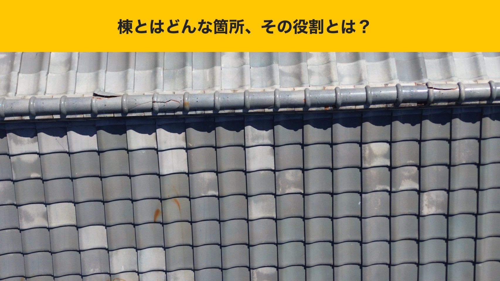 棟