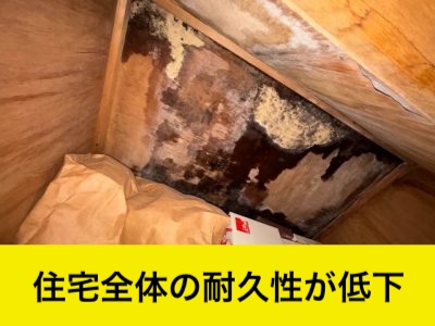 雨漏り