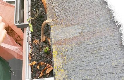 雨樋の落ち葉