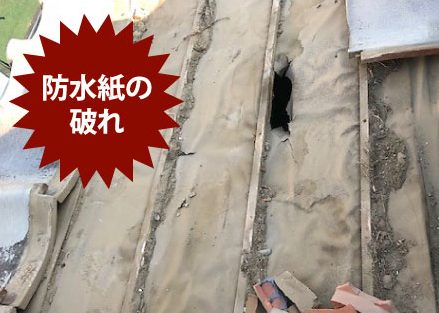 防水紙